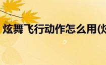 炫舞飞行动作怎么用(炫舞飞行动作怎么用的)
