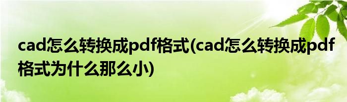 cad怎么转换成pdf格式(cad怎么转换成pdf格式为什么那么小)
