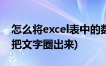 怎么将excel表中的数据圈出来(excel表怎样把文字圈出来)