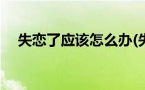 失恋了应该怎么办(失恋了应该怎么办呀)