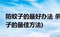 防蚊子的最好办法 杀灭蚊子的最好方法(灭蚊子的最佳方法)