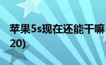 苹果5s现在还能干嘛(苹果5s现在还能干嘛2020)