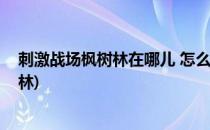 刺激战场枫树林在哪儿 怎么找到神秘枫树林(刺激战场枫叶林)