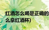 红酒怎么喝是正确的(红酒怎么喝是正确的怎么拿红酒杯)
