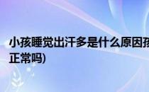 小孩睡觉出汗多是什么原因孩子睡觉出汗多(小孩睡觉出汗多正常吗)