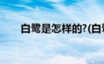 白鹭是怎样的?(白鹭是怎样的说明文)