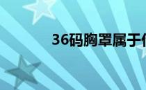36码胸罩属于什么杯（36码）