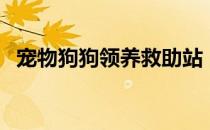 宠物狗狗领养救助站（宠物狗狗免费领养）