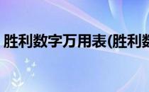 胜利数字万用表(胜利数字万用表厂家维修点)