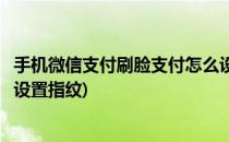 手机微信支付刷脸支付怎么设置(手机微信支付刷脸支付怎么设置指纹)
