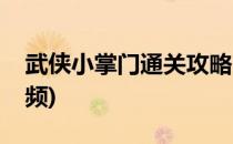 武侠小掌门通关攻略(武侠小掌门通关攻略视频)