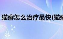 猫癣怎么治疗最快(猫癣怎么治疗最快最有效)