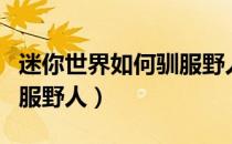 迷你世界如何驯服野人猎手（迷你世界如何驯服野人）