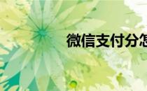 微信支付分怎么开通额度