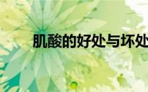 肌酸的好处与坏处(肌酸有什么好处)