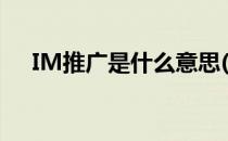 IM推广是什么意思(im营销是什么意思)