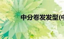 中分卷发发型(中分卷发发型女)