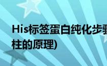 His标签蛋白纯化步骤(纯化his标签蛋白用镍柱的原理)