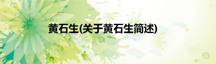 黄石生(关于黄石生简述)