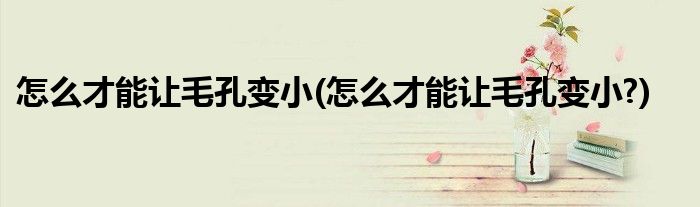 怎么才能让毛孔变小(怎么才能让毛孔变小?)