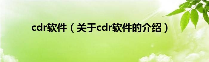 cdr软件（关于cdr软件的介绍）