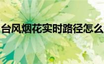 台风烟花实时路径怎么看(烟花台风 实时路径)