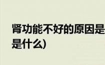 肾功能不好的原因是什么(肾功能不好的原因是什么)