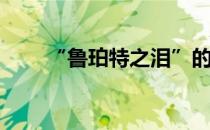 “鲁珀特之泪”的制作(鲁伯特之泪)