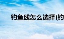 钓鱼线怎么选择(钓鱼线怎么选择好坏)