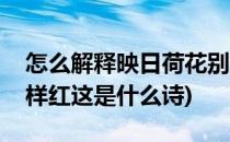 怎么解释映日荷花别样红这句诗(映日荷花别样红这是什么诗)
