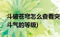 斗破苍穹怎么查看突破斗之气等级(斗破苍穹斗气的等级)