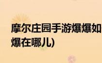 摩尔庄园手游爆爆如何查找(摩尔庄园手游爆爆在哪儿)