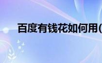 百度有钱花如何用(百度有钱花好用吗)