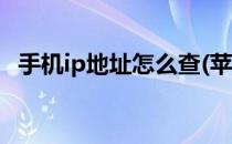 手机ip地址怎么查(苹果手机ip地址怎么查)