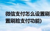 微信支付怎么设置刷脸支付(微信支付怎么设置刷脸支付功能)