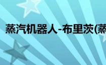 蒸汽机器人-布里茨(蒸汽机器人布里茨台词)