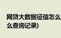 网贷大数据征信怎么查询(网贷大数据征信怎么查询记录)