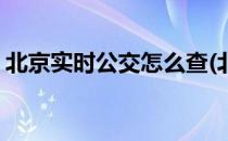 北京实时公交怎么查(北京实时公交怎么查询)