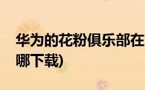 华为的花粉俱乐部在哪(华为的花粉俱乐部在哪下载)