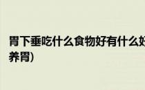 胃下垂吃什么食物好有什么好的缓解方法(胃下垂吃什么食物养胃)