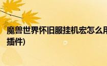 魔兽世界怀旧服挂机宏怎么用(魔兽世界怀旧服挂机宏怎么用插件)