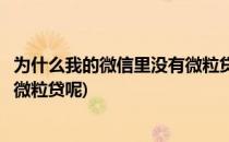 为什么我的微信里没有微粒贷微粒贷开通教程(微信怎么没有微粒贷呢)