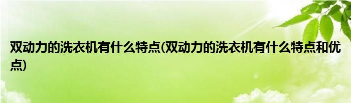 双动力的洗衣机有什么特点(双动力的洗衣机有什么特点和优点)