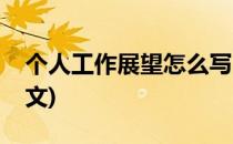 个人工作展望怎么写(个人工作展望怎么写范文)