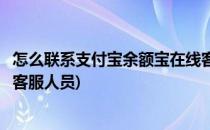 怎么联系支付宝余额宝在线客服(怎么联系支付宝余额宝在线客服人员)