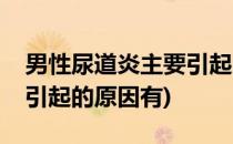 男性尿道炎主要引起的原因(男性尿道炎主要引起的原因有)
