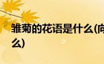 雏菊的花语是什么(向日葵和雏菊的花语是什么)