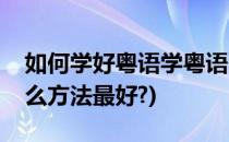 如何学好粤语学粤语的实用方法(学粤语用什么方法最好?)