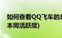 如何查看QQ飞车的总活跃度(qq飞车怎么看本周活跃度)