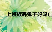 上班族养兔子好吗(上班族养兔子好吗吗)
